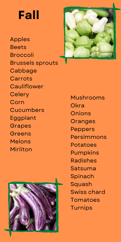 Content is available in the PDF linked below.